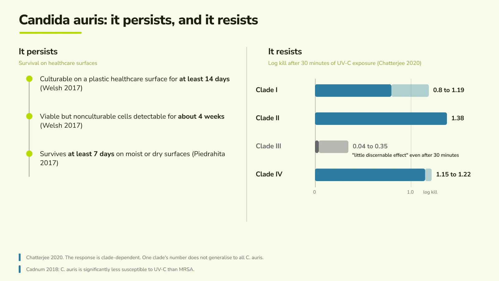 Candida auris persistence and clade-dependent UV-C response: the yeast stays culturable on plastic for at least 14 days, while 30-minute UV-C log-kill varies by clade from 1.38 log down to 0.04 log for clade III.