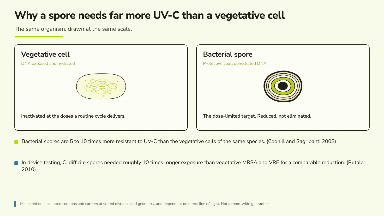 Two-panel comparison of a vegetative bacterial cell and a C. difficile spore, showing the spore's protective coat and the 5 to 10 times higher UV-C dose it needs.