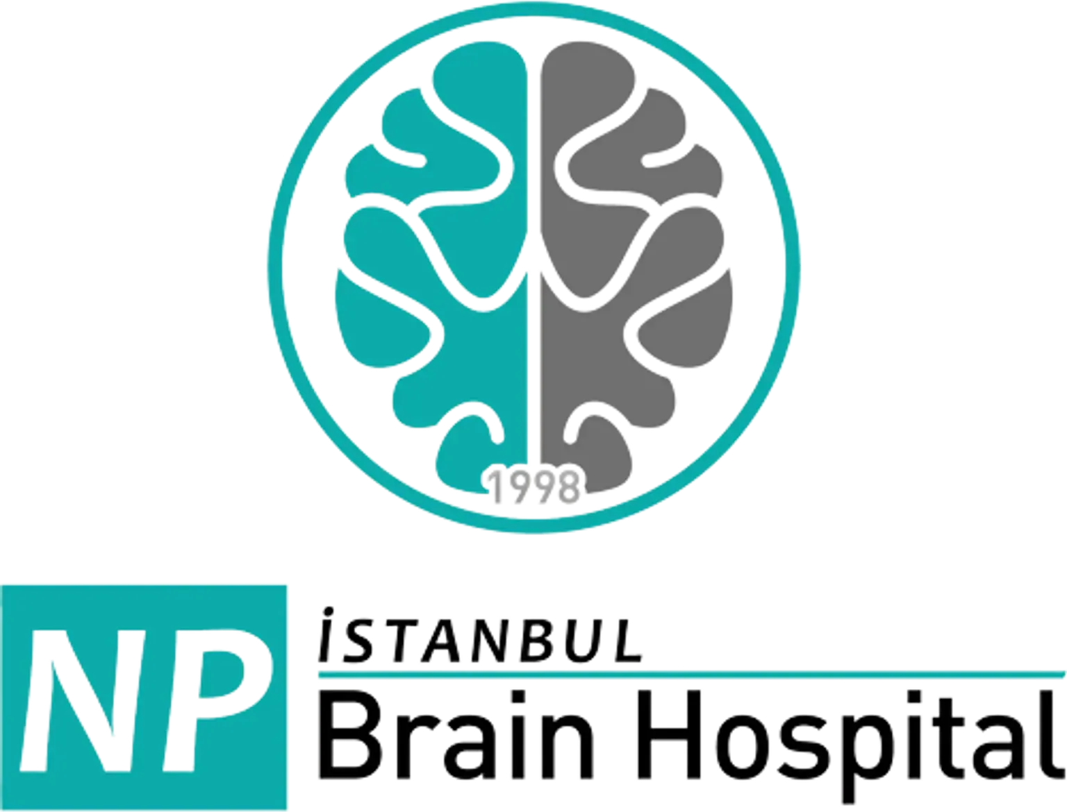 NP Istanbul Brain Hospital